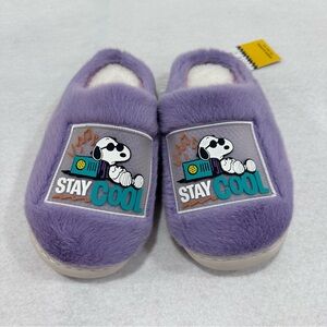 Snoopy Slipper Slides